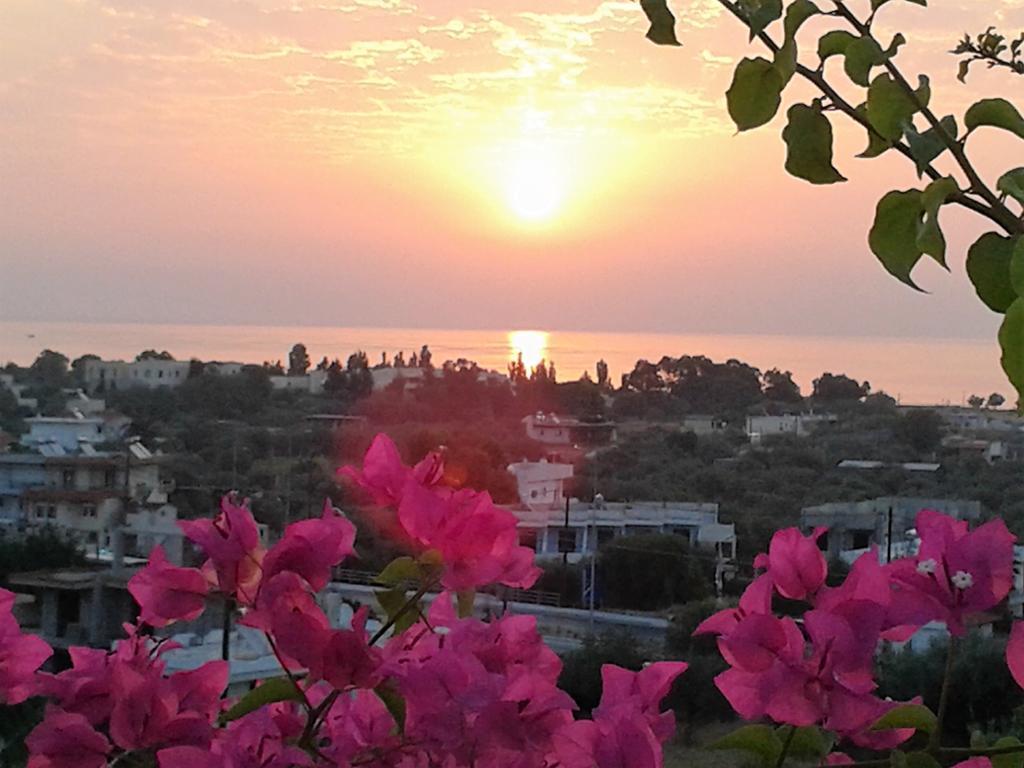 אפאנטו Iris Hotel מראה חיצוני תמונה