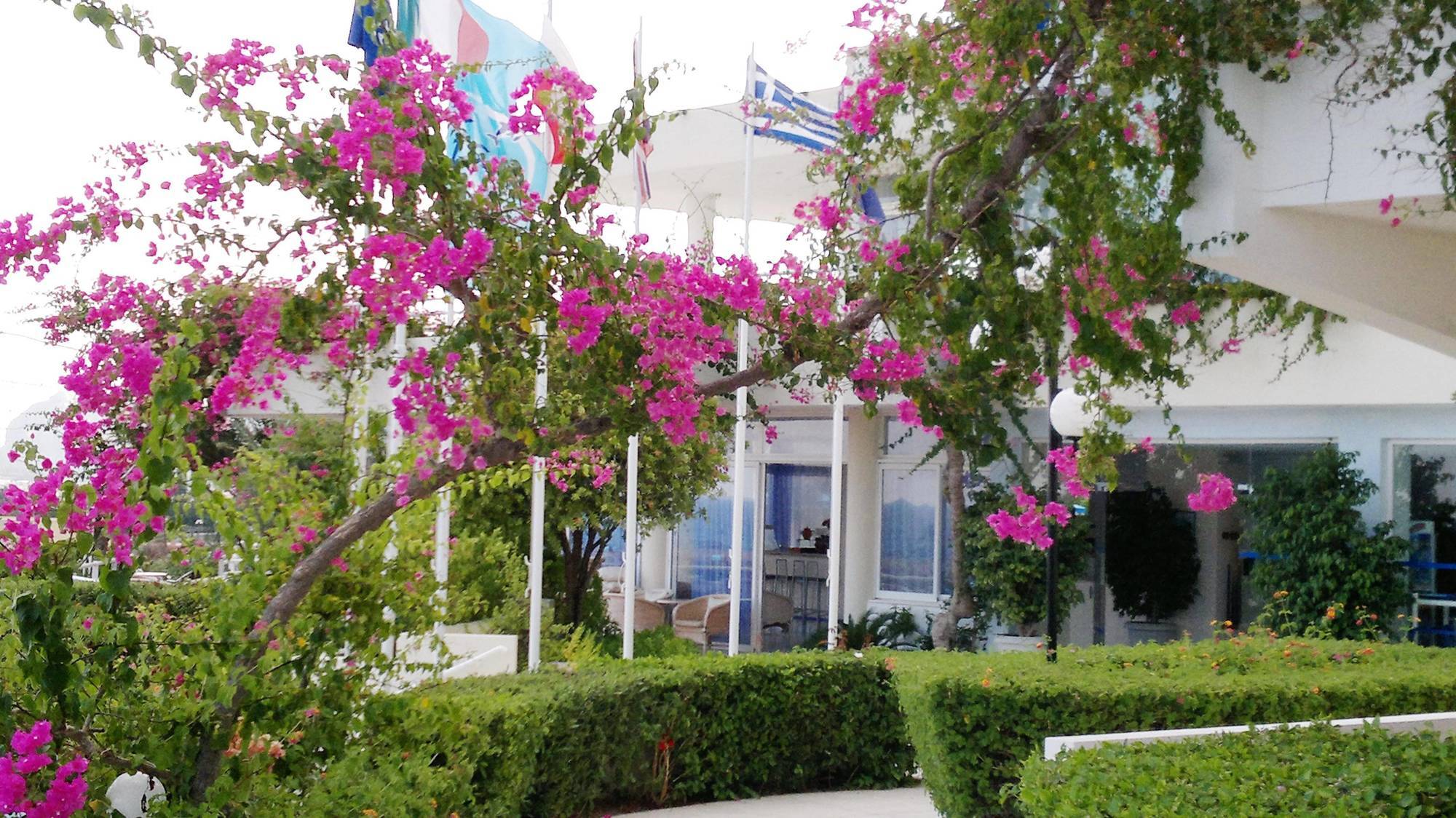 אפאנטו Iris Hotel מראה חיצוני תמונה